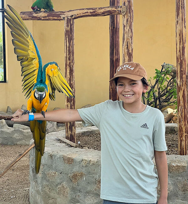 Campamentos Delmar International School