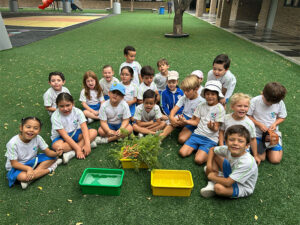 Impulso al proyecto DELMAR CARES en todas las secciones