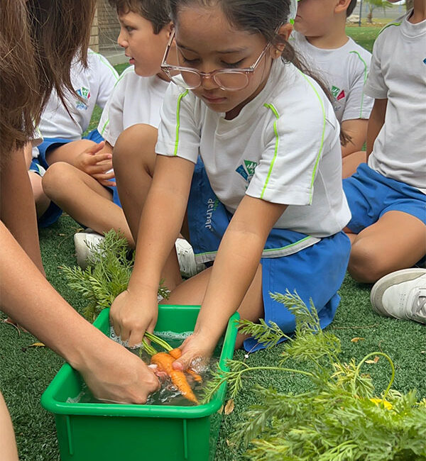 Impulso al proyecto DELMAR CARES en todas las secciones